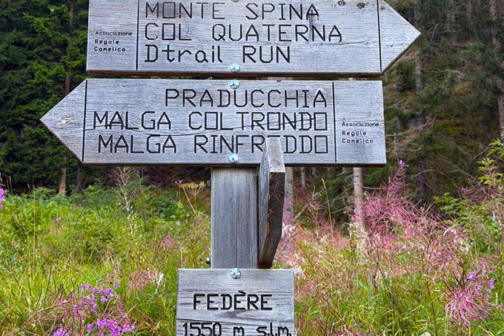 federe-monte-spina