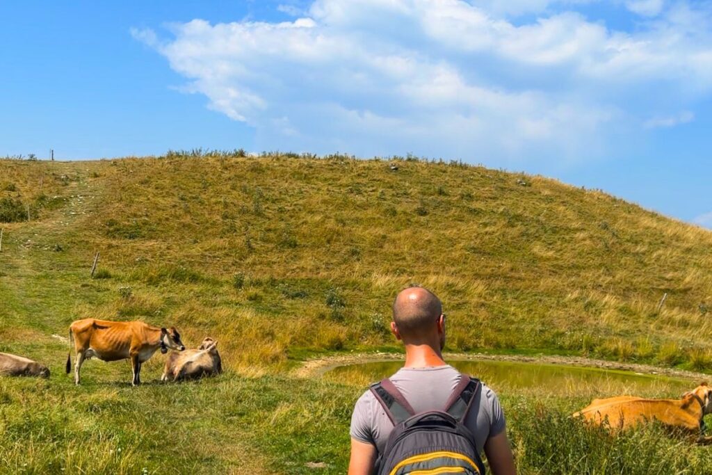 trekking-malga-budui-monte-cesen-arrivo